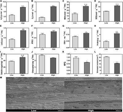Integrated Physiological and Transcriptomic Analyses Responses to Altitude Stress in Oat <mark class="highlighted">(Avena sativa L.)</mark>